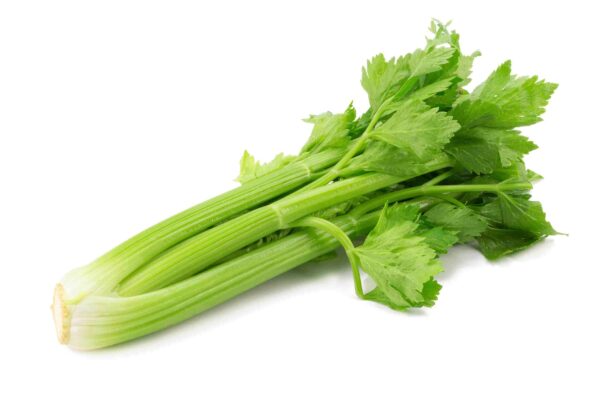 Celery-scaled-1.jpg