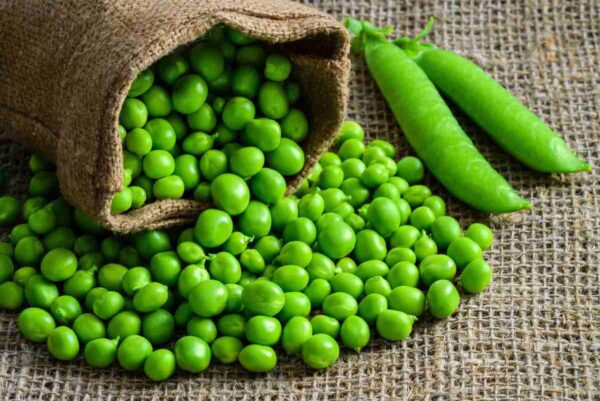 Peas-scaled