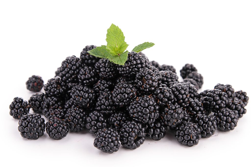 Certified organic freezedried blackberries Food 4 Daily Life LLC